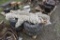 Pallet with tires, kerosene heater, Hammocks, Snap Binders, wheel weights