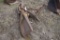 Deerborne 6ft Backblade