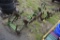 Set of John Deere B cultivators