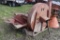 International 56 Forage Silage Blower