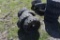 Group of 4 run flat skidsteer tires