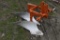 2 Bottom plow