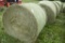9- 4x5 First Cut Hay Round Bales