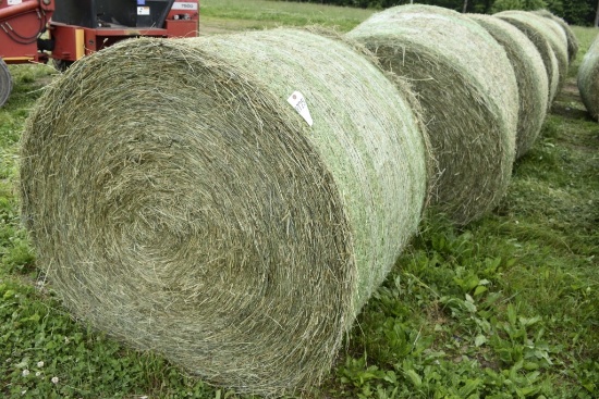 9- 4x5 First Cut Hay Round Bales