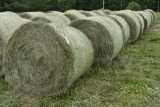 10- 4x5 First Cut Hay Round Bales