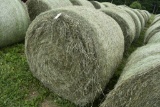 10- 4x5 First Cut Hay Round Bales