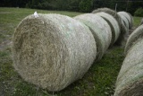 7- 4x5 First Cut Hay Round Bales