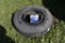 Bridestone M725 tire with golf cart charger