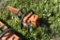Stihl MS 180L chainsaw