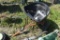 Lawn tractor broadcast seeder