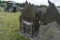 Pallet of Irregular Stand Up Stone