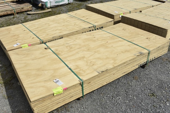 CDX Plywood 5/8" x 48" x 96"