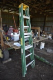 Davidson 7 foot fiberglass step ladder