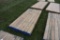 Douglas Fir Dimensional Lumber 2