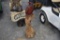Wood Carved Cardinal