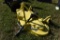 John Deere 272 Finish mower
