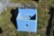 Blue Waterer