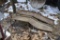 pair of car ramps