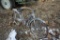 Old Gray bicycle