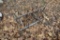 3 point cultivator