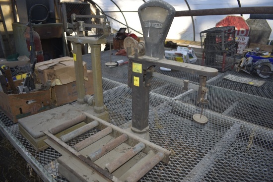 Detecto Scales Gram Scale