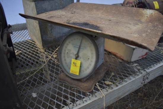American Family Nursery Scale