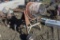 Cement Mortar Mixer