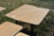 2 6' Dining Tables