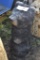Bear Carving