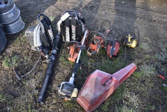 2 Echo Leaf Blowers, 5 Chainsaws, Weedwacker motor