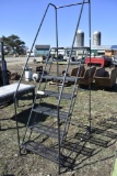 7 Step Warehouse Ladder