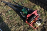 2 Leaf Blowers