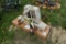 Woods RM 59 mower