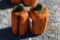 2 Wooden hand crafted Pumpkin