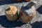2 Wooden hand Crafted Pumpkin