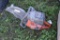 Husqvarna K750 Demo Saw