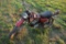 Suzuki 250 Dirt Bike