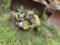 3 Cylinder Diesel Motor
