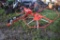 New Enrossi 2 Star Tedder