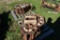 Pair of Loegering Skidsteer Metal Tracks