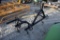 3 Point S-Tine Cultivator