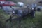 Ground Drive Manure Spreader