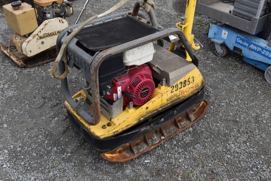 Wacker Neuson BPU 5043 Tamper