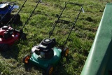 Weed Eater 22