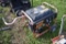 Generac GP5500 Generator For Parts
