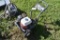 Extreme Pressure Washer For Parts