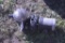 Hayward Pool Pump
