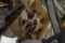 Box of Animal Traps