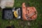 DeWalt Circular Saw, Pasload Impulse Nailer
