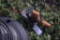 Electric Weed Trimmer